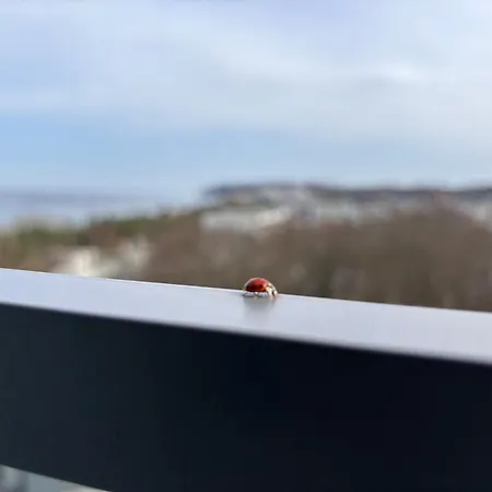 Crest View 777th - & Seaview Apartman Międzyzdroje