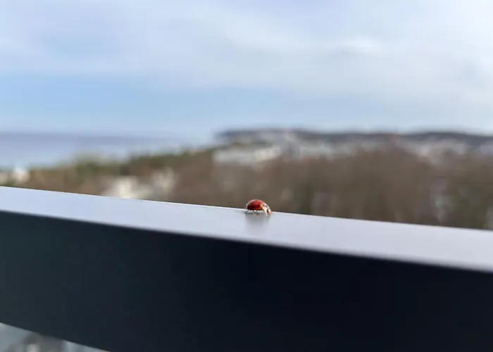 Crest View 777th - & Seaview Διαμέρισμα Miedzyzdroje